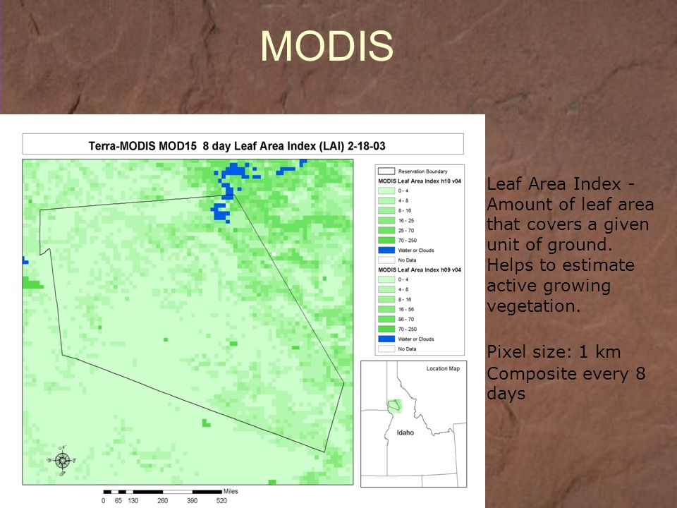MODIS Leaf Area Index - Amount of leaf area that covers a given unit of ground.