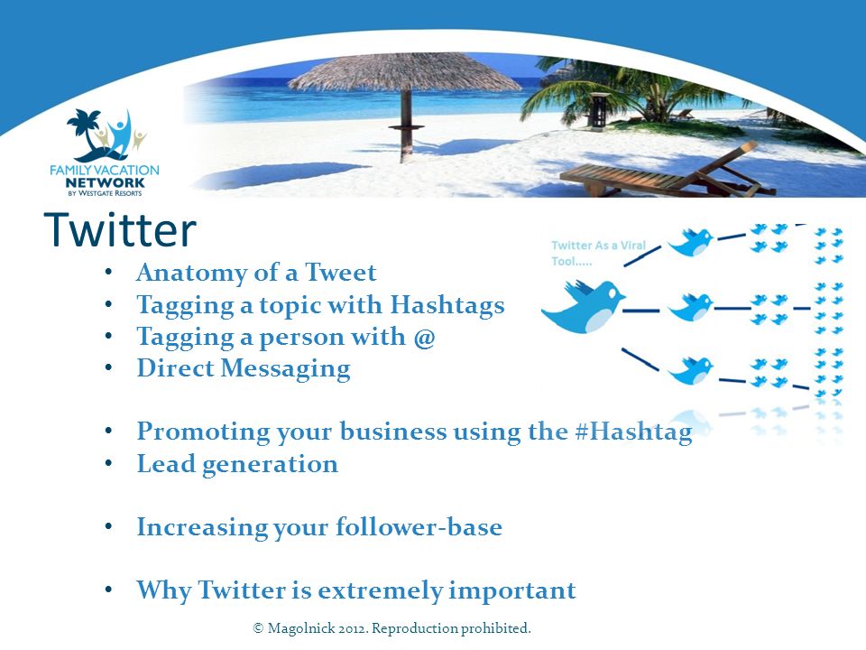Twitter Anatomy of a Tweet Tagging a topic with Hashtags Tagging a person Direct Messaging Promoting your business using the #Hashtag Lead generation Increasing your follower-base Why Twitter is extremely important © Magolnick 2012.