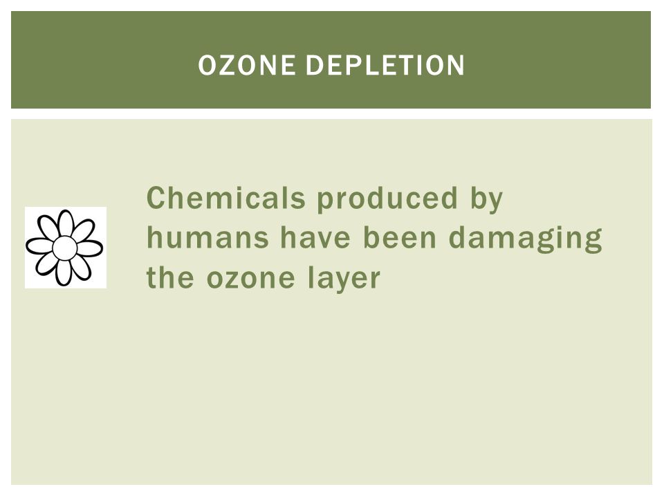 Chemicals produced by humans have been damaging the ozone layer OZONE DEPLETION