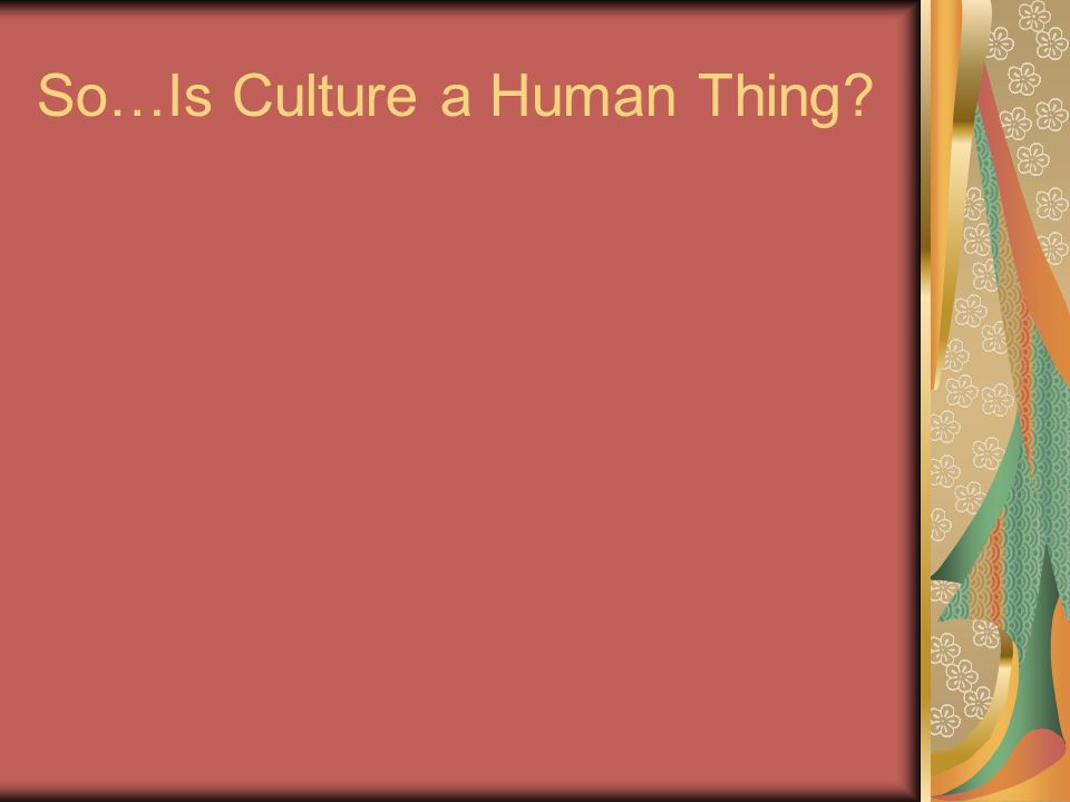 Is culture a human thing?