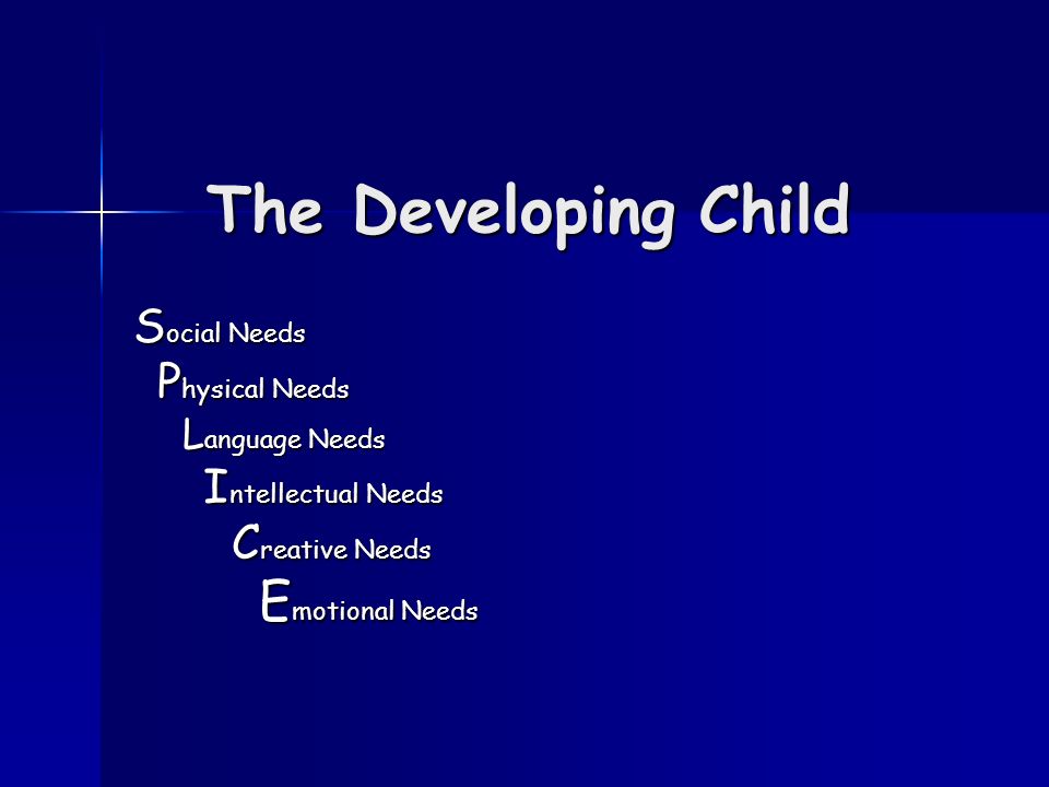 The Developing Child S ocial Needs P hysical Needs P hysical Needs L anguage Needs L anguage Needs I ntellectual Needs I ntellectual Needs C reative Needs C reative Needs E motional Needs E motional Needs