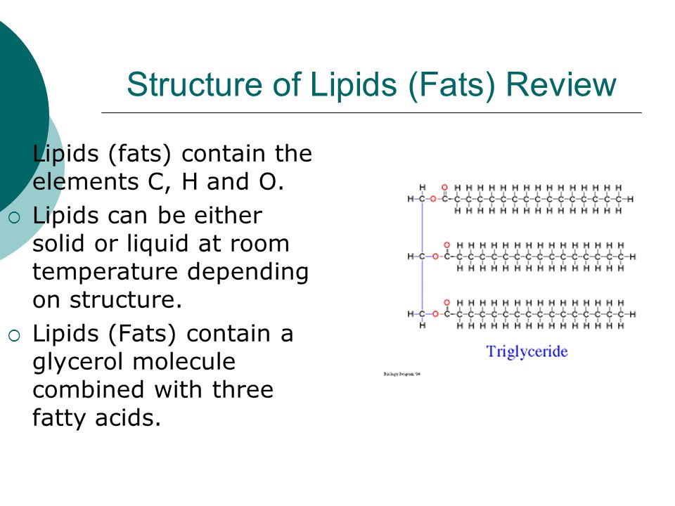 Structure Of Lipids Fats Review Lipids Fats Contain