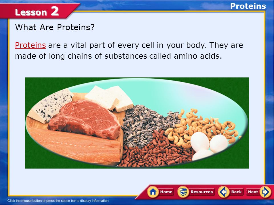 Lesson 2 What Are Proteins. ProteinsProteins are a vital part of every cell in your body.
