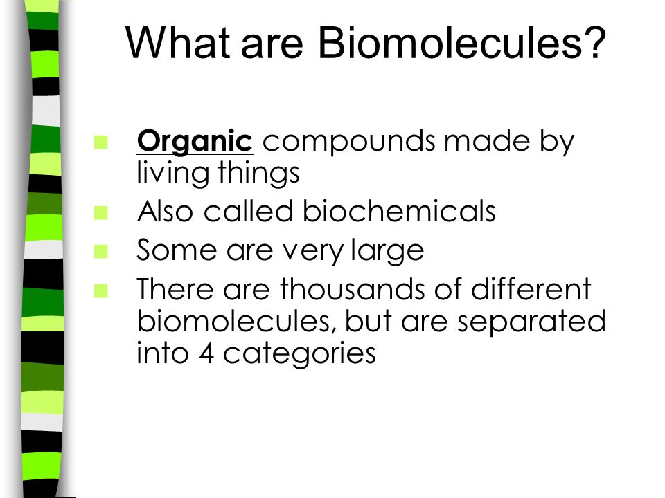what are biomolecules
