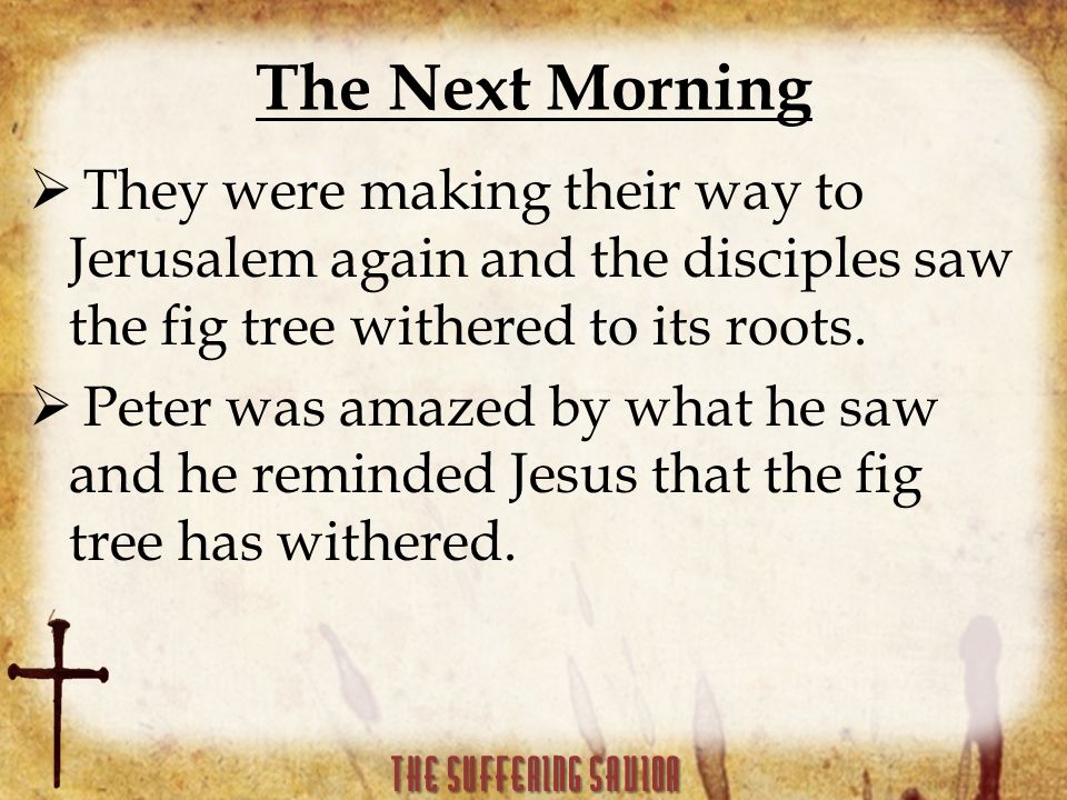 The Next Morning  They were making their way to Jerusalem again and the disciples saw the fig tree withered to its roots.