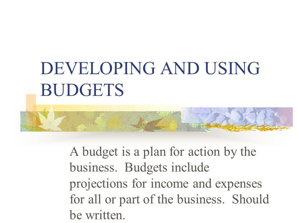 DEVELOPING AND USING BUDGETS A budget is a plan for action by the business.