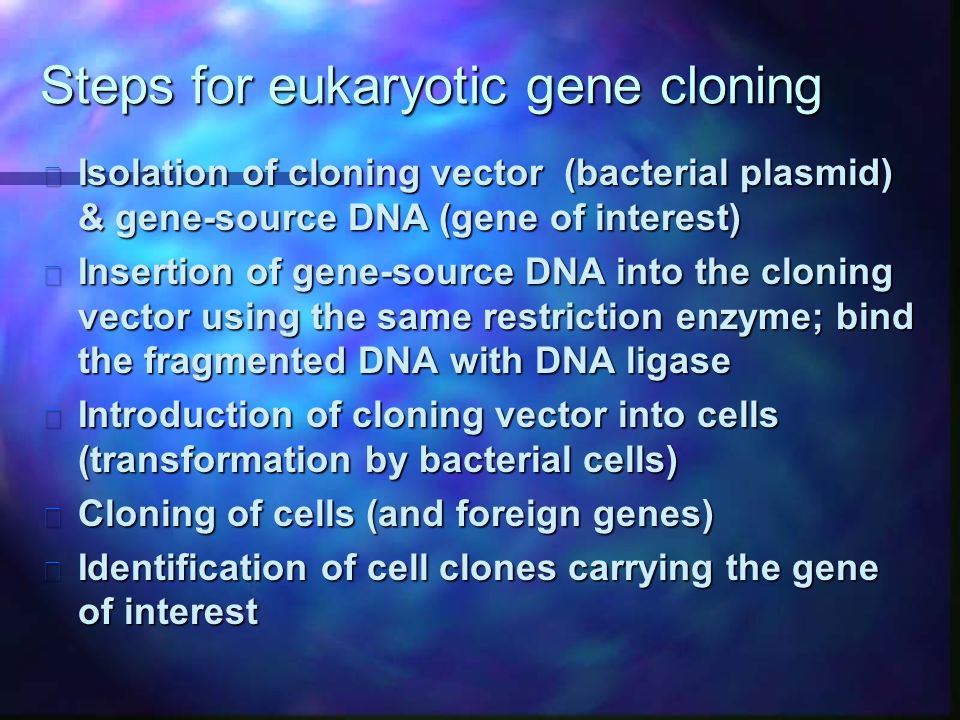 Steps for eukaryotic gene cloning n Isolation of cloning vector (bacterial plasmid) & gene-source DNA (gene of interest) n Insertion of gene-source DNA into the cloning vector using the same restriction enzyme; bind the fragmented DNA with DNA ligase n Introduction of cloning vector into cells (transformation by bacterial cells) n Cloning of cells (and foreign genes) n Identification of cell clones carrying the gene of interest