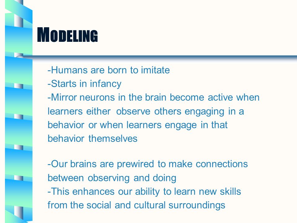 M ODELING -Humans are born to imitate -Starts in infancy -Mirror neurons in the brain become active when learners either observe others engaging in a behavior or when learners engage in that behavior themselves -Our brains are prewired to make connections between observing and doing -This enhances our ability to learn new skills from the social and cultural surroundings