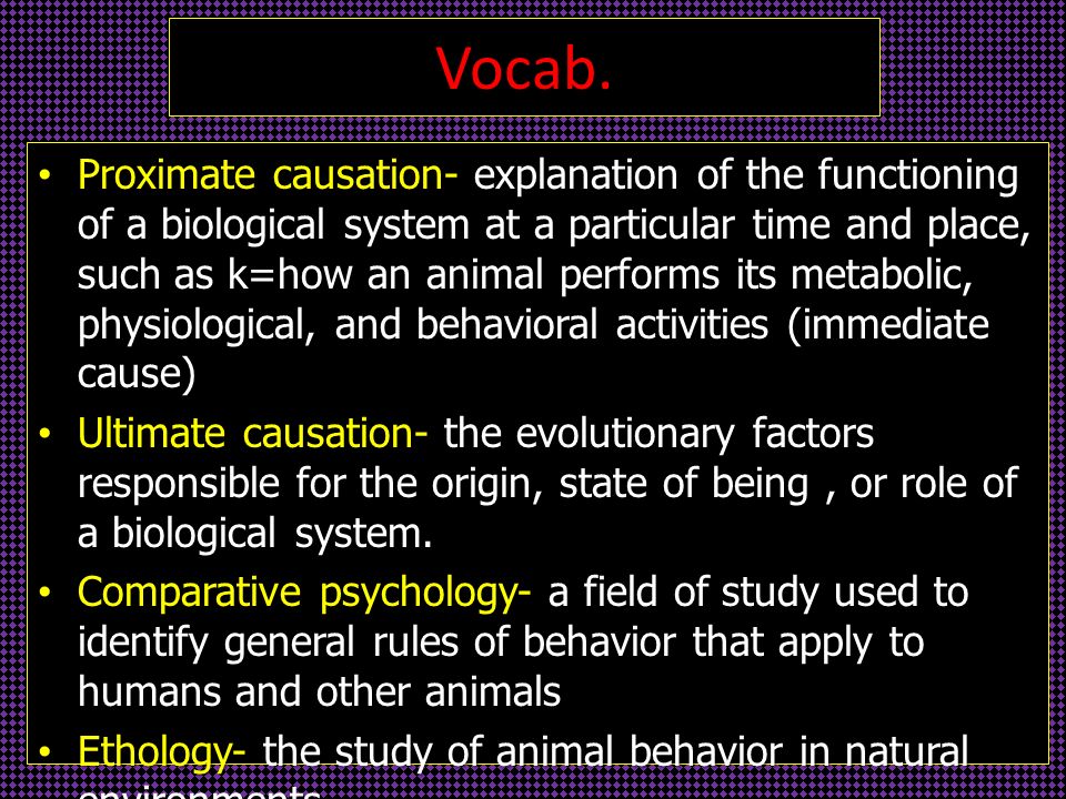Chapter. 36 Animal Behavior by Jazzy Moses. Vocab. Proximate causation-  explanation of the functioning of a biological system at a particular time  and. - ppt download