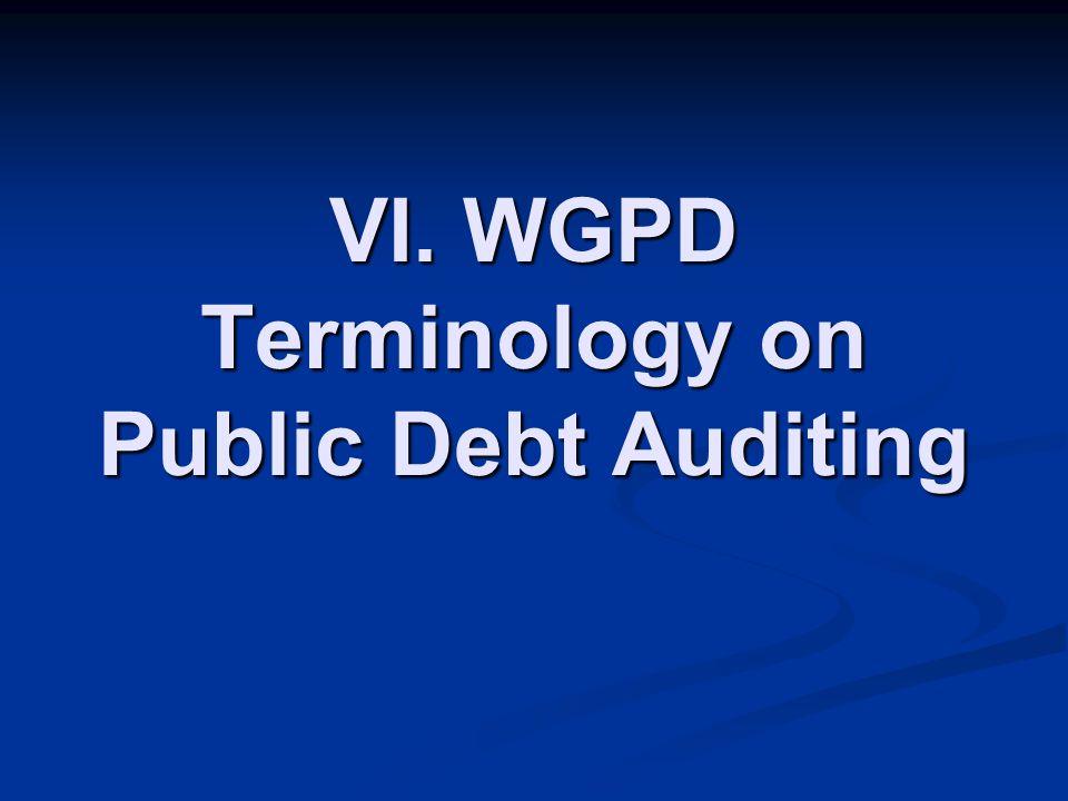VI. WGPD Terminology on Public Debt Auditing