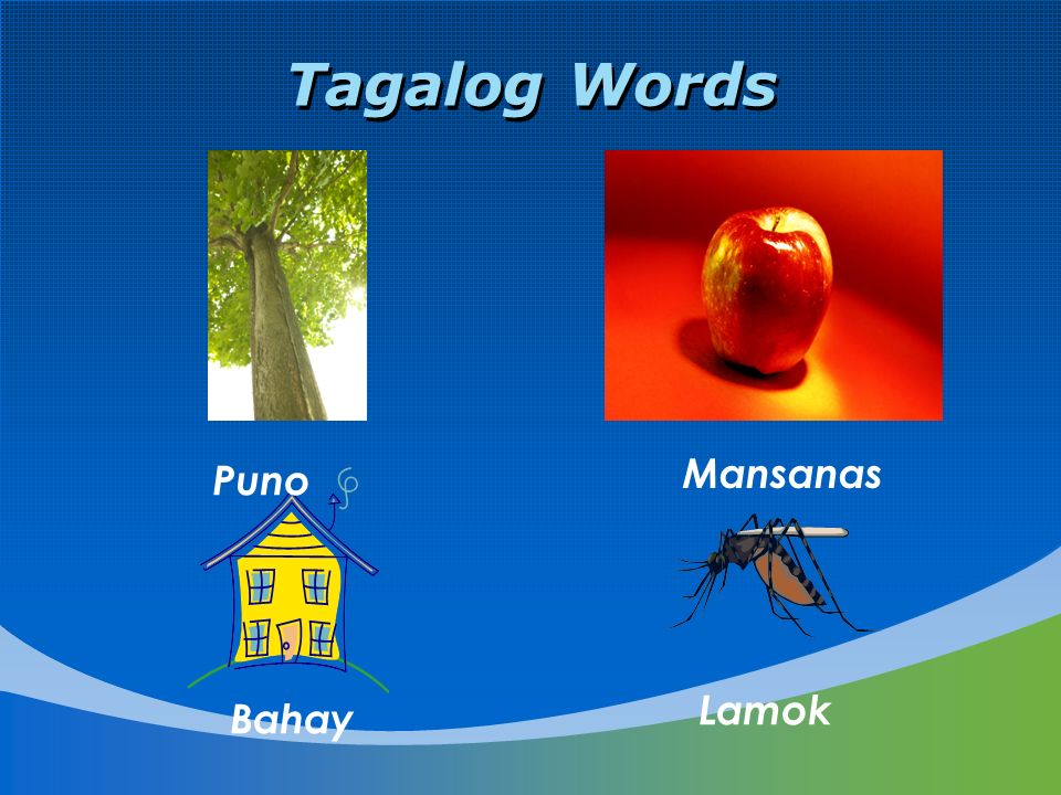 Tagalog Class for Beginners WELCOME. Introduction What is your name ...