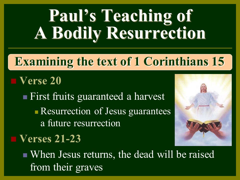Paul’s Teaching of A Bodily Resurrection Verse 20 First fruits guaranteed a harvest Resurrection of Jesus guarantees a future resurrection Verses When Jesus returns, the dead will be raised from their graves Examining the text of 1 Corinthians 15
