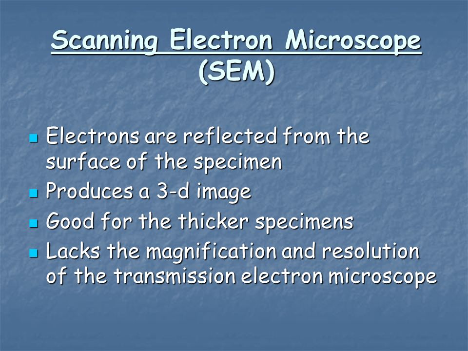 Scanning Electron Microscope (SEM) Electrons are reflected from the surface of the specimen Electrons are reflected from the surface of the specimen Produces a 3-d image Produces a 3-d image Good for the thicker specimens Good for the thicker specimens Lacks the magnification and resolution of the transmission electron microscope Lacks the magnification and resolution of the transmission electron microscope