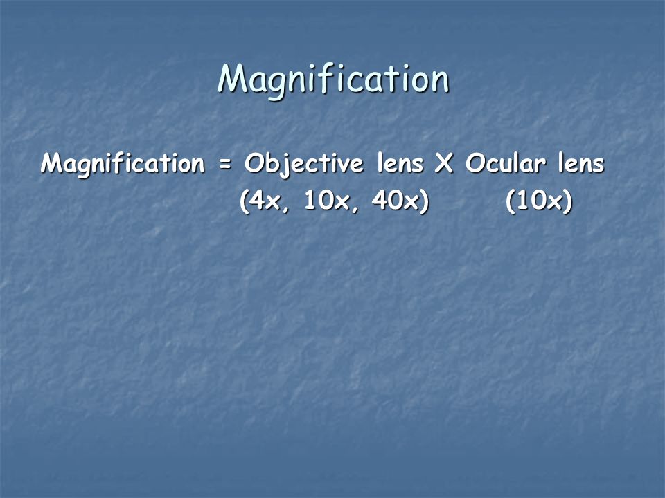 Magnification Magnification = Objective lens X Ocular lens (4x, 10x, 40x)(10x)