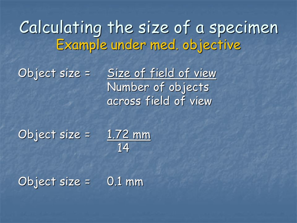 Calculating the size of a specimen Example under med.