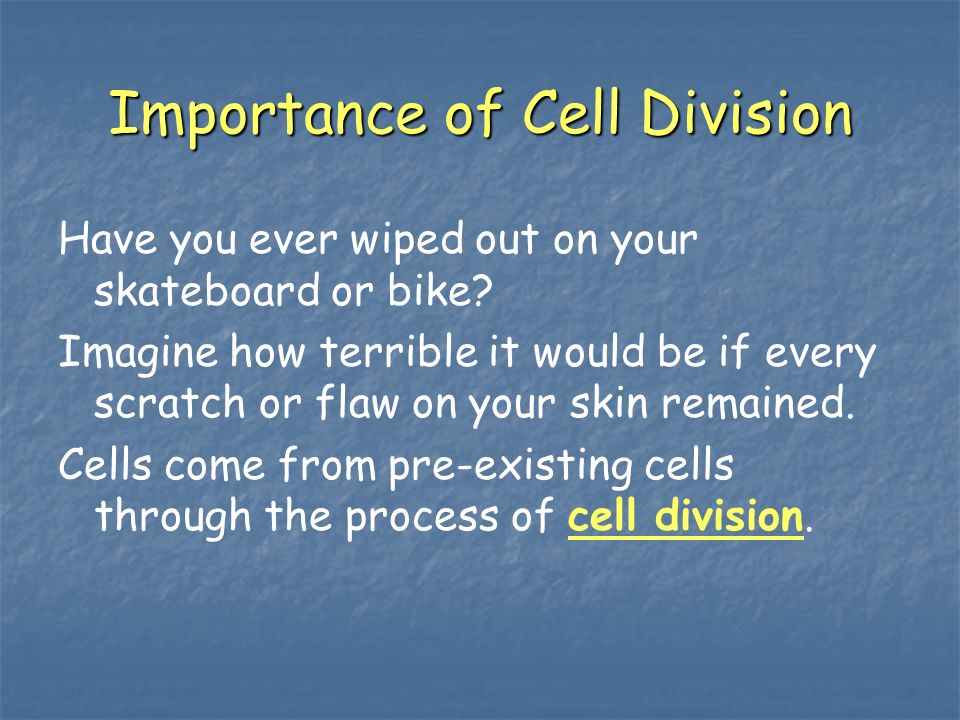 Importance of Cell Division Have you ever wiped out on your skateboard or bike.