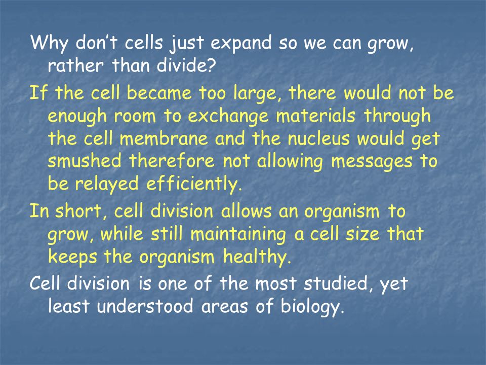 Why don’t cells just expand so we can grow, rather than divide.