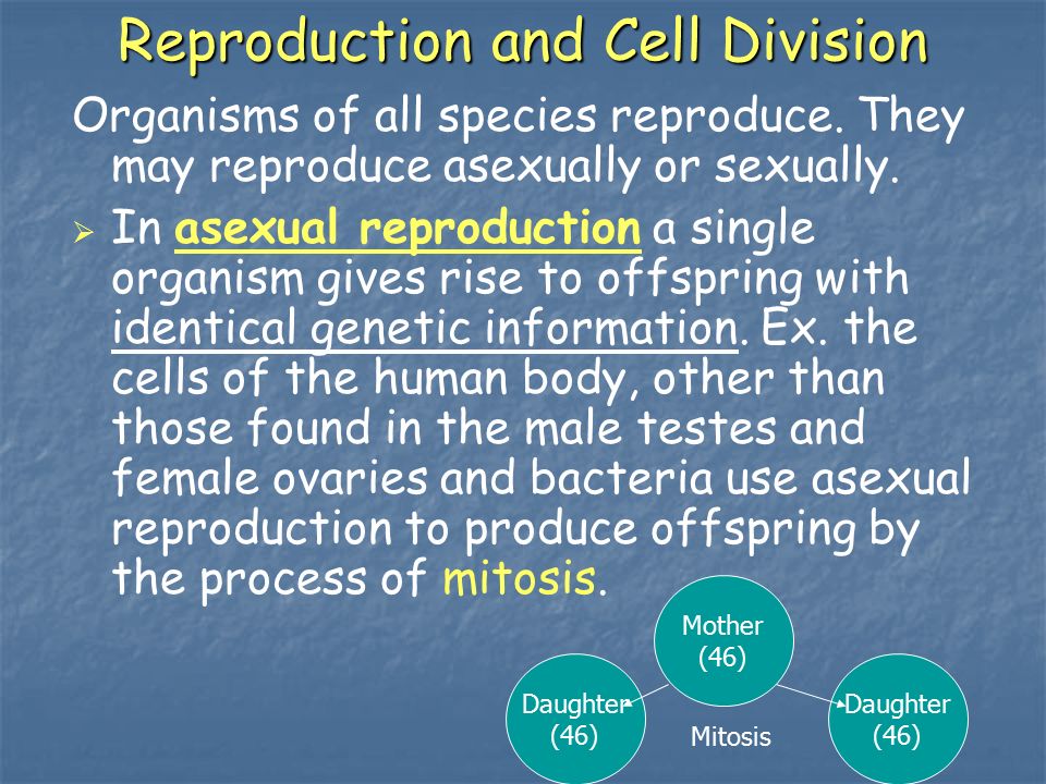 Reproduction and Cell Division Organisms of all species reproduce.