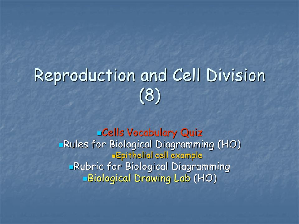 Reproduction and Cell Division (8) Cells Vocabulary Quiz Cells Vocabulary Quiz Rules for Biological Diagramming (HO) Rules for Biological Diagramming (HO) Epithelial cell example Epithelial cell example Rubric for Biological Diagramming Rubric for Biological Diagramming Biological Drawing Lab (HO) Biological Drawing Lab (HO)