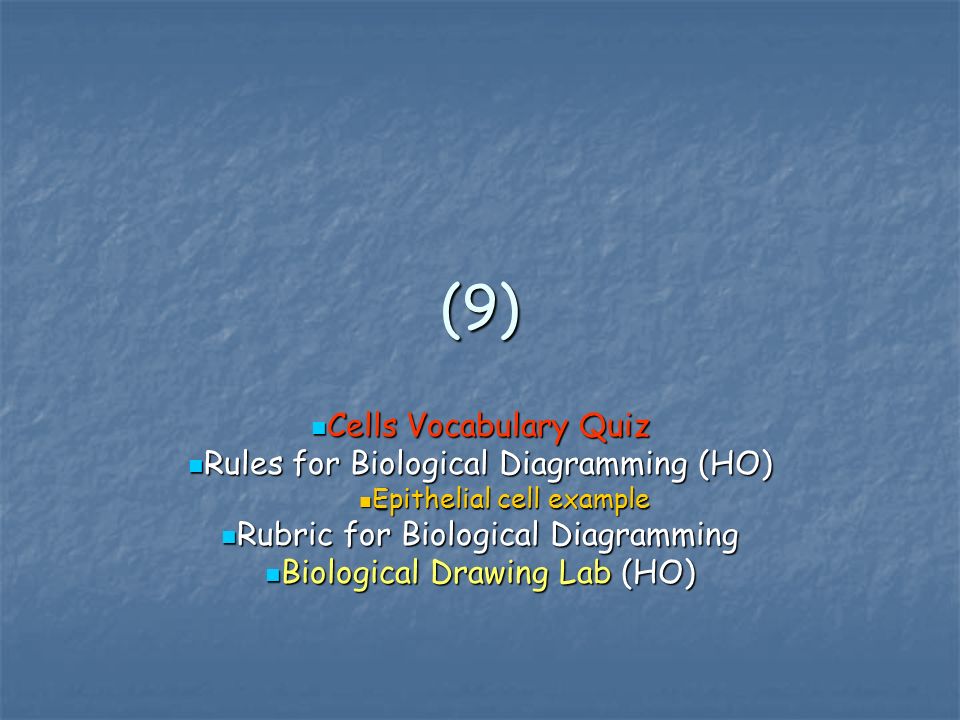 (9) Cells Vocabulary Quiz Cells Vocabulary Quiz Rules for Biological Diagramming (HO) Rules for Biological Diagramming (HO) Epithelial cell example Epithelial cell example Rubric for Biological Diagramming Rubric for Biological Diagramming Biological Drawing Lab (HO) Biological Drawing Lab (HO)