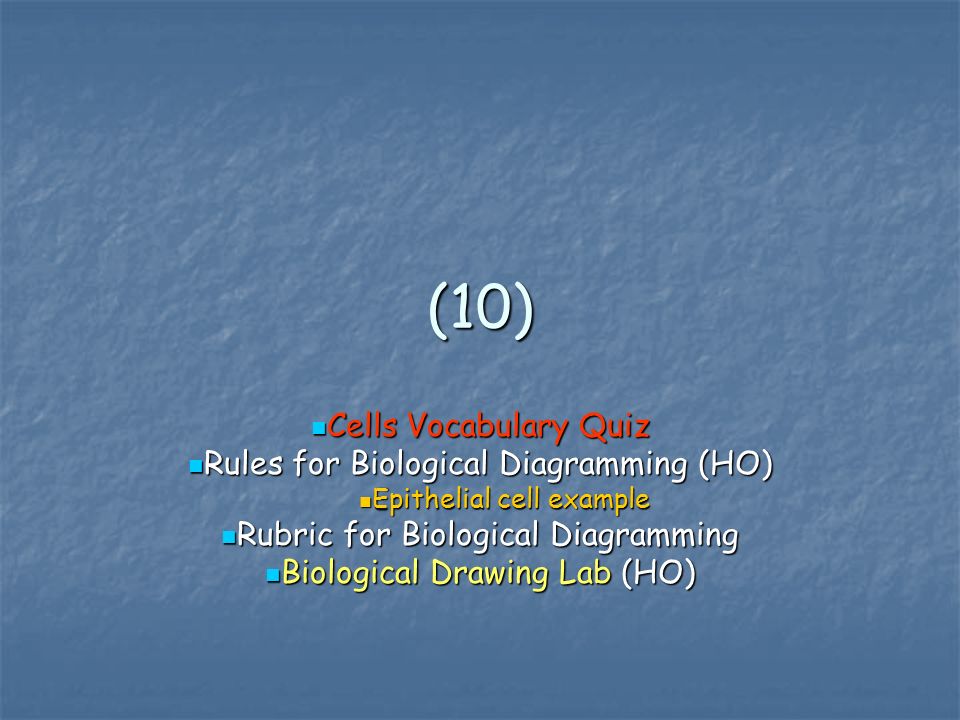 (10) Cells Vocabulary Quiz Cells Vocabulary Quiz Rules for Biological Diagramming (HO) Rules for Biological Diagramming (HO) Epithelial cell example Epithelial cell example Rubric for Biological Diagramming Rubric for Biological Diagramming Biological Drawing Lab (HO) Biological Drawing Lab (HO)