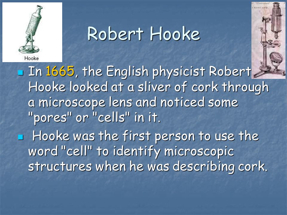 Robert Hooke In 1665, the English physicist Robert Hooke looked at a sliver of cork through a microscope lens and noticed some pores or cells in it.