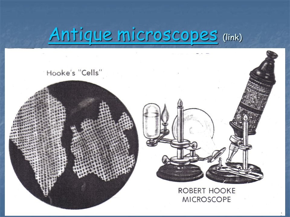 Antique microscopesAntique microscopes (link) Antique microscopes
