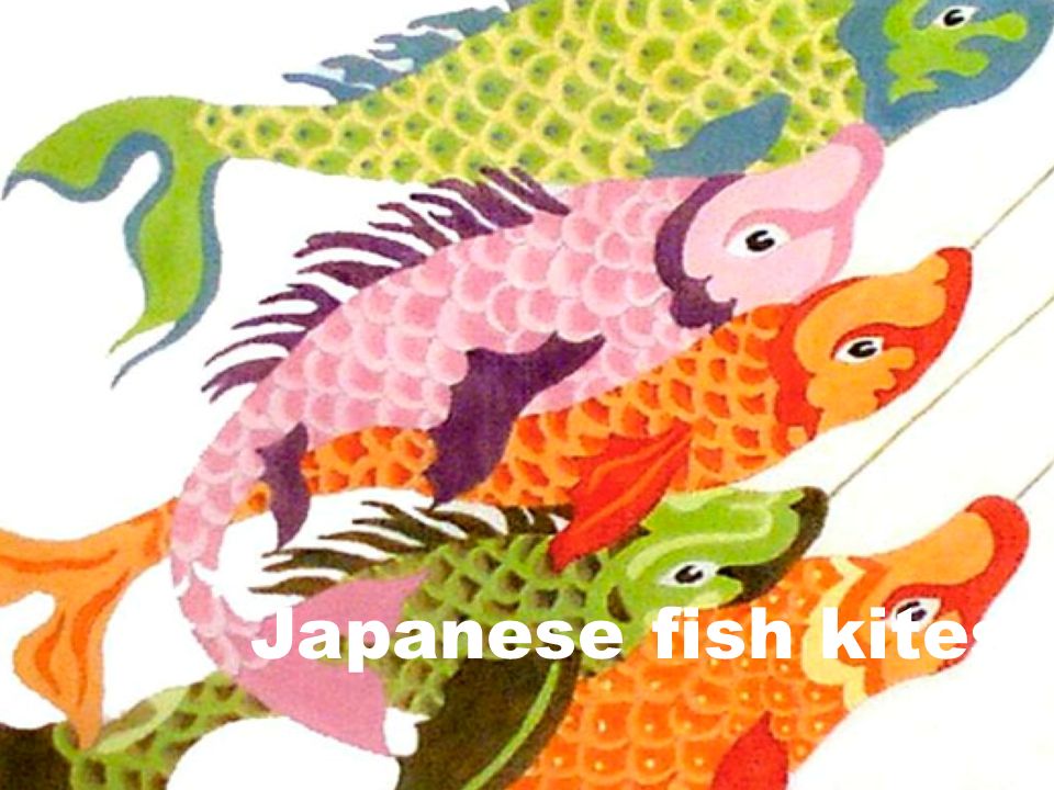 Japanese Fish Kites The Japanese Fish Kite Koinobori