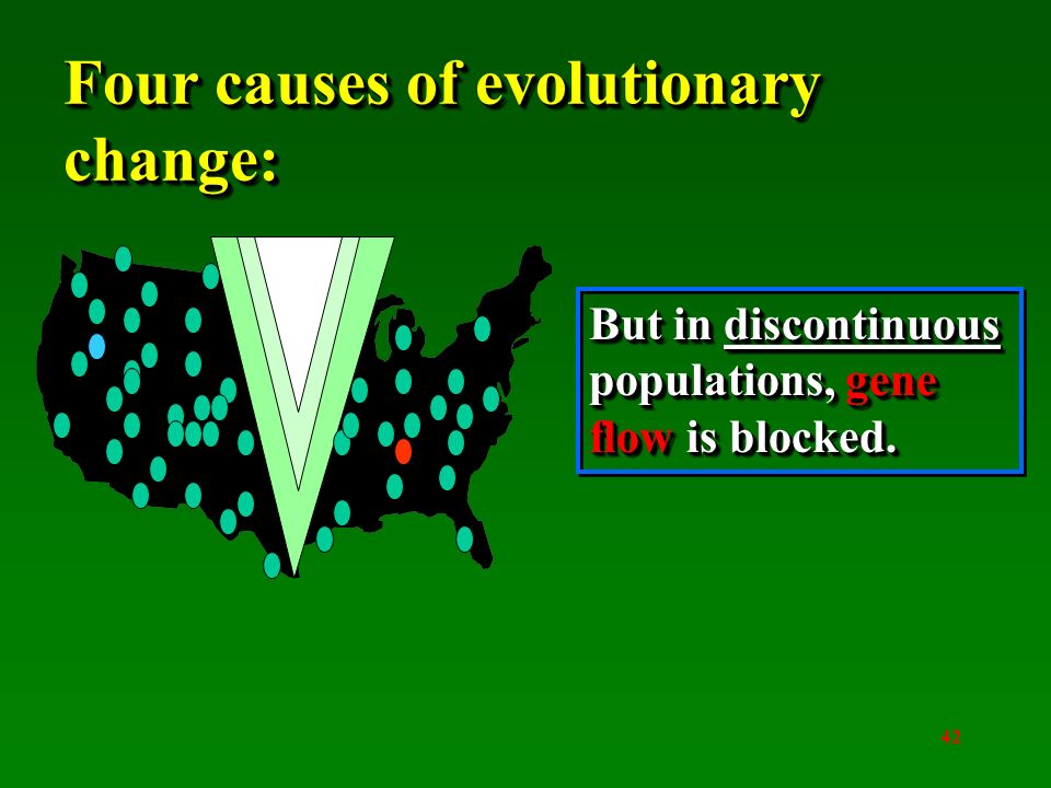 41 Four causes of evolutionary change: 1.Mutation: fundamental genetic shifts.