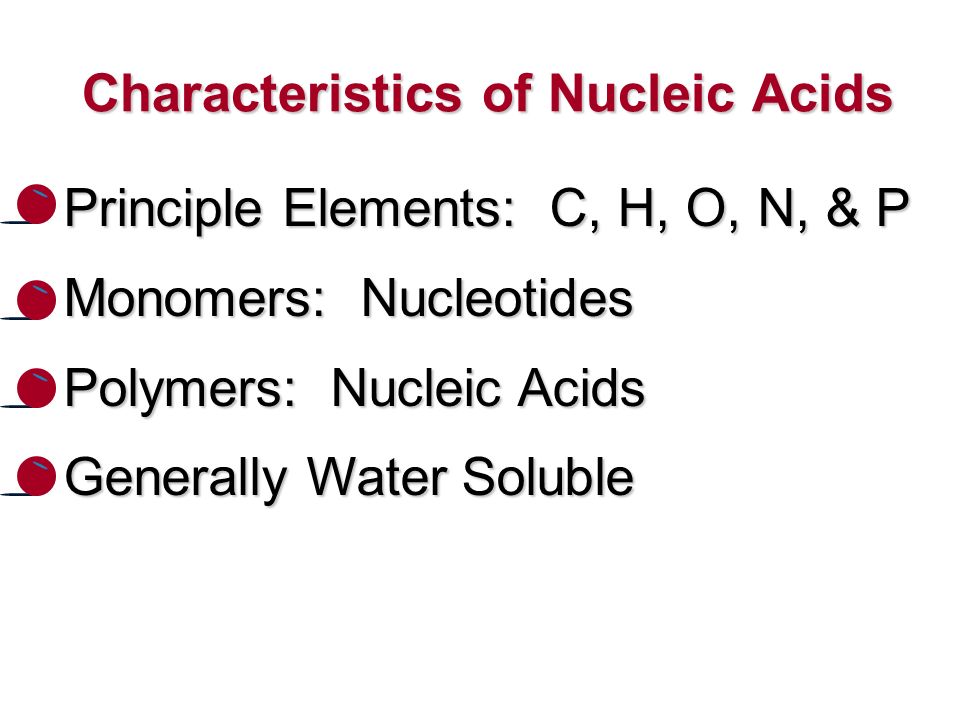 Characteristics of Nucleic Acids Principle Elements: C, H, O, N, & P Monomers: Nucleotides Polymers: Nucleic Acids Generally Water Soluble