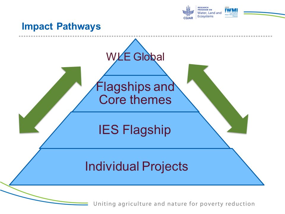 Impact Pathways WLE Global Flagships and Core themes IES Flagship Individual Projects