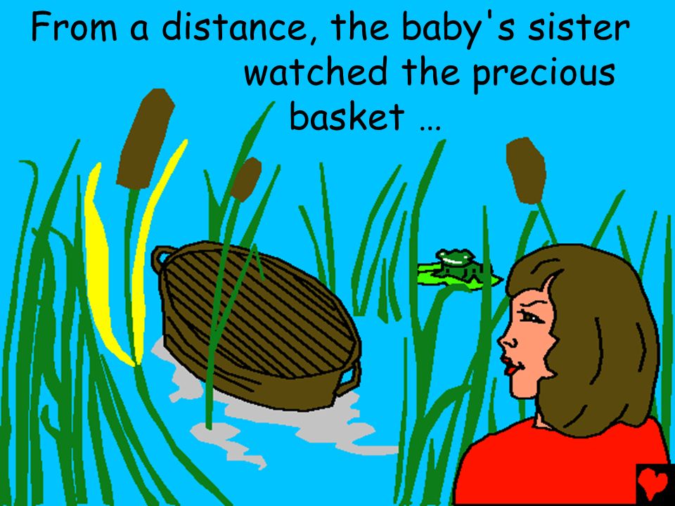 From a distance, the baby s sister watched the precious basket …