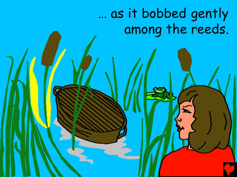 … as it bobbed gently among the reeds.