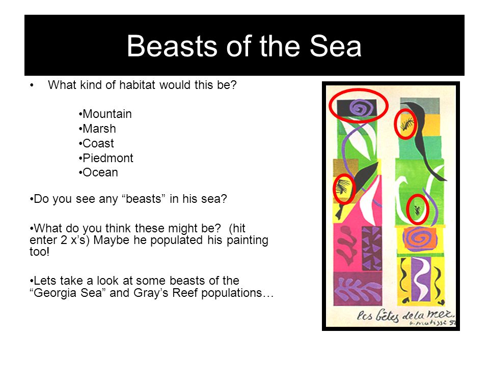 Summit Hill Elementary Art EDventures “Beasts of the Sea” 3rd  Grade/Science-Habitats of GA Henry Matisse Brought to you by S.H.E. PTA  PLEASE NOTE: This. - ppt download
