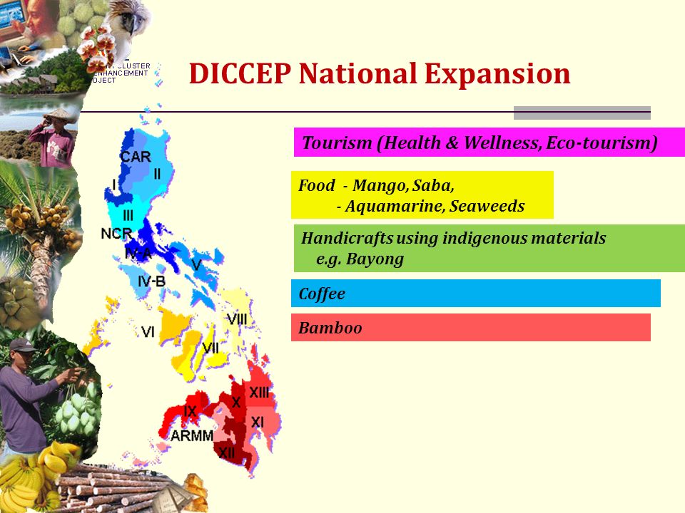 DICCEP National Expansion Tourism (Health & Wellness, Eco-tourism) Food - Mango, Saba, - Aquamarine, Seaweeds Handicrafts using indigenous materials e.g.