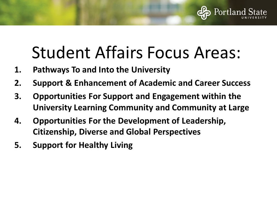 Student Affairs Focus Areas: 1.Pathways To and Into the University 2.Support & Enhancement of Academic and Career Success 3.Opportunities For Support and Engagement within the University Learning Community and Community at Large 4.Opportunities For the Development of Leadership, Citizenship, Diverse and Global Perspectives 5.Support for Healthy Living