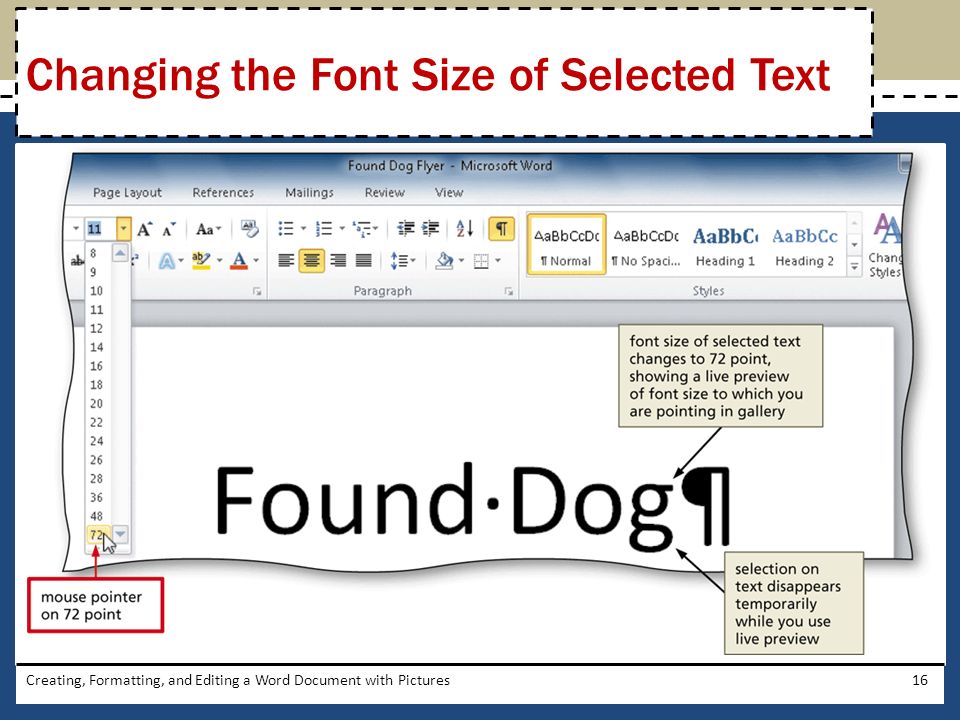 Creating, Formatting, and Editing a Word Document with Pictures16 Changing the Font Size of Selected Text