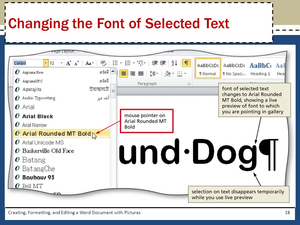 Creating, Formatting, and Editing a Word Document with Pictures18 Changing the Font of Selected Text