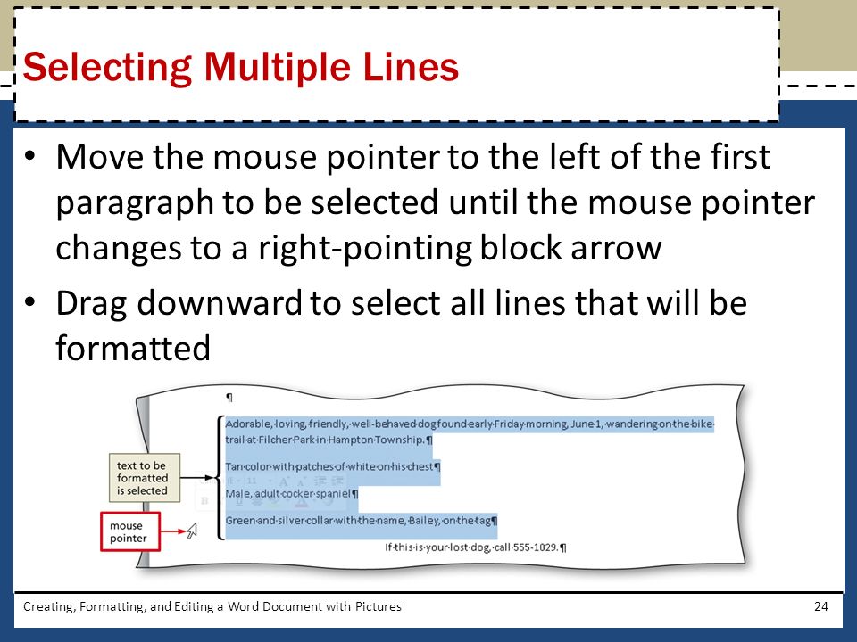 Move the mouse pointer to the left of the first paragraph to be selected until the mouse pointer changes to a right-pointing block arrow Drag downward to select all lines that will be formatted Creating, Formatting, and Editing a Word Document with Pictures24 Selecting Multiple Lines