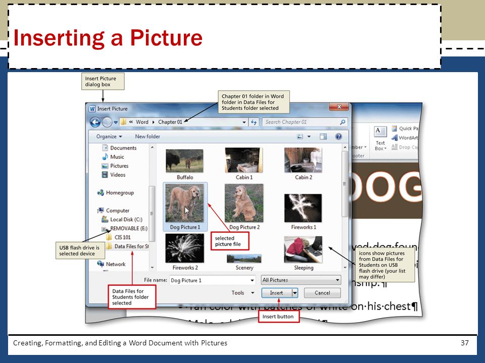 Creating, Formatting, and Editing a Word Document with Pictures37 Inserting a Picture