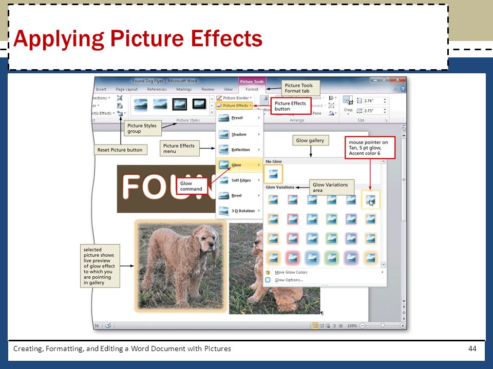 Creating, Formatting, and Editing a Word Document with Pictures44 Applying Picture Effects