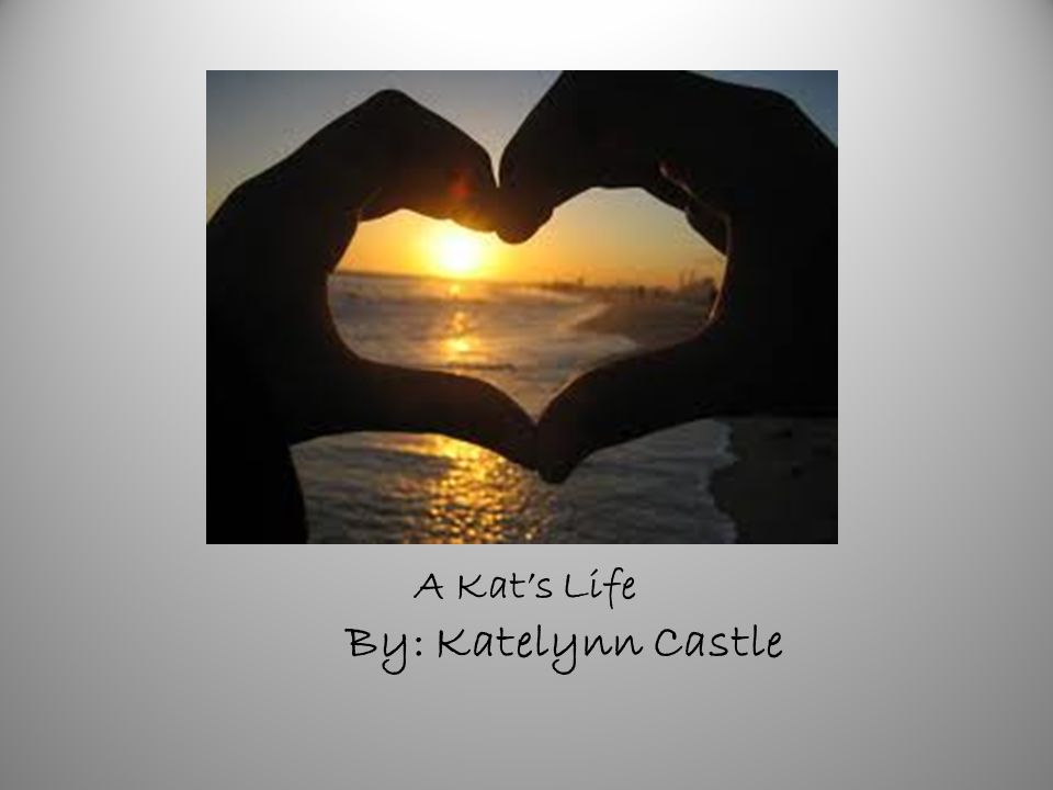 A Kat’s Life By: Katelynn Castle