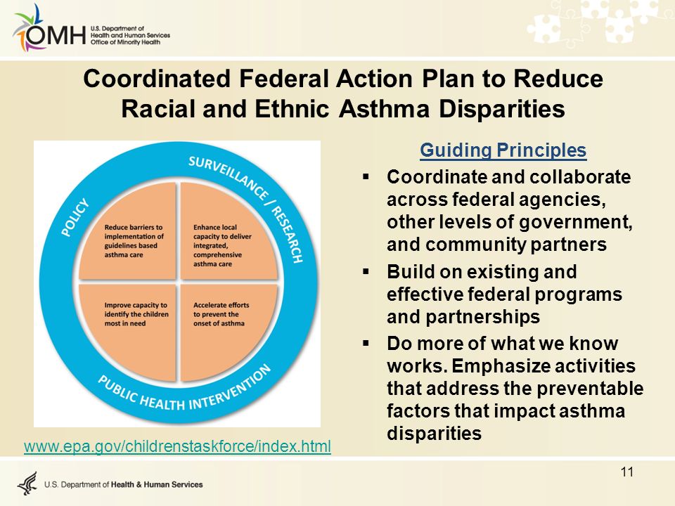 Coordinated Federal Action Plan to Reduce Racial and Ethnic Asthma Disparities Guiding Principles  Coordinate and collaborate across federal agencies, other levels of government, and community partners  Build on existing and effective federal programs and partnerships  Do more of what we know works.