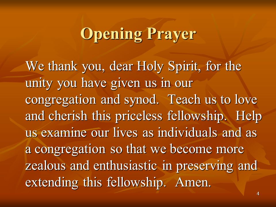4 Opening Prayer We thank you, dear Holy Spirit, for the unity you have given us in our congregation and synod.