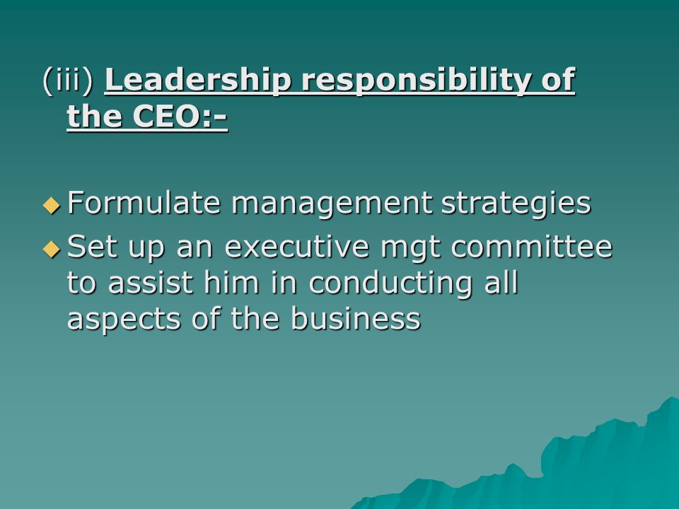 (iii) Leadership responsibility of the CEO:-  Formulate management strategies  Set up an executive mgt committee to assist him in conducting all aspects of the business