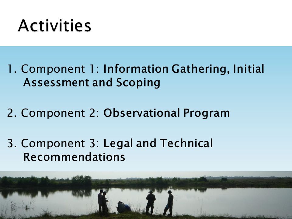 1. Component 1: Information Gathering, Initial Assessment and Scoping 2.