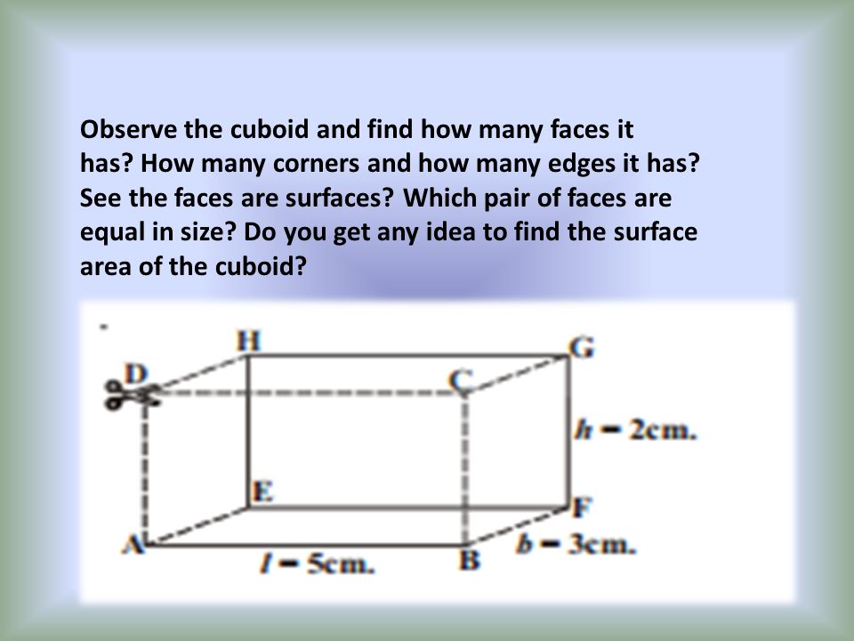 Observe the cuboid and find how many faces it has.