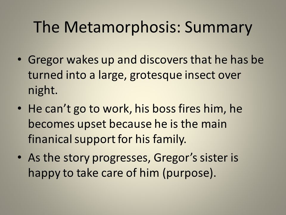 the metamorphosis summary by franz kafka