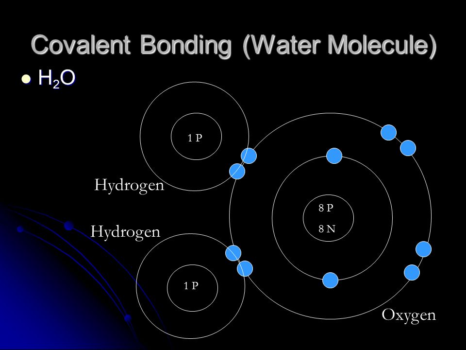 Covalent Bonding (Water Molecule) H 2 O H 2 O 8 P 8 N Hydrogen Oxygen 1 P