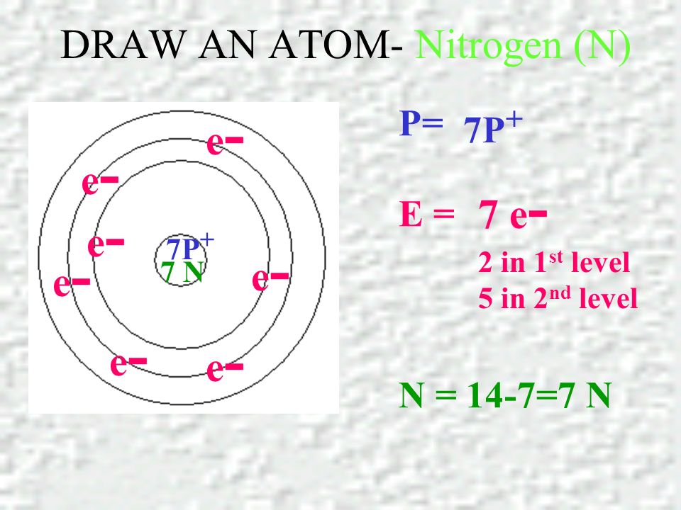 DRAW AN ATOM- Nitrogen (N) P= E = N = 14-7=7 N 7P + e-e- e-e- 7 N e-e- e-e- e-e- e-e- e-e- 7 e - 2 in 1 st level 5 in 2 nd level